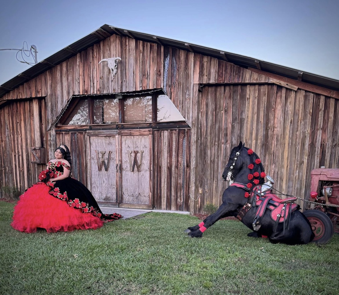 Sesión y experiencia ecuestre en Rancho Los Potrillos, foto 5
